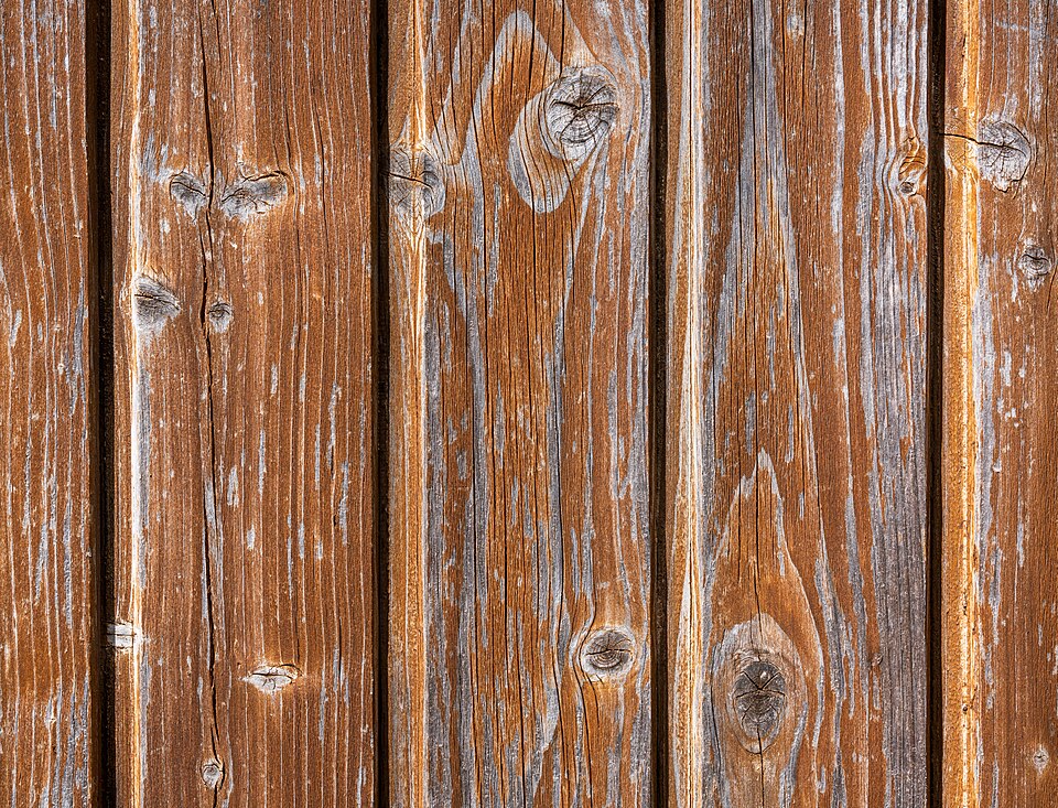 Commercial Flush Door photo