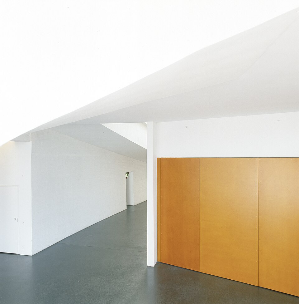 Woodgrain Laminate Door photo
